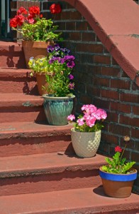 Flowerpots on old stairs